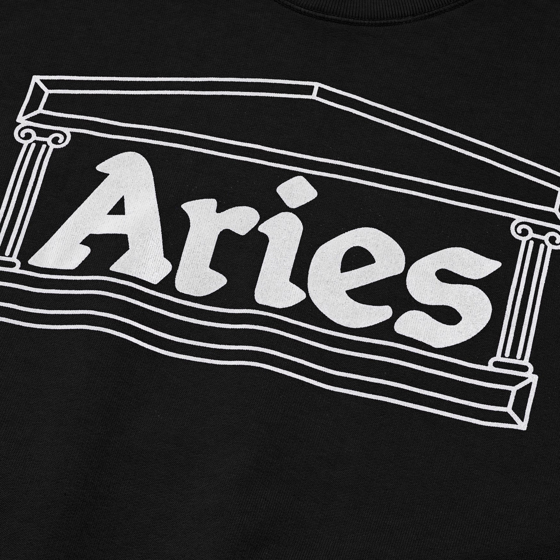 ARIES Column