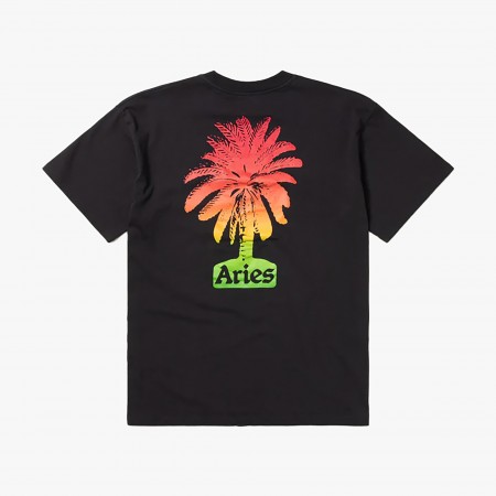 ARIES Palm ARIES Palm