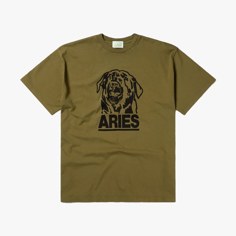 ARIES Rottweiler