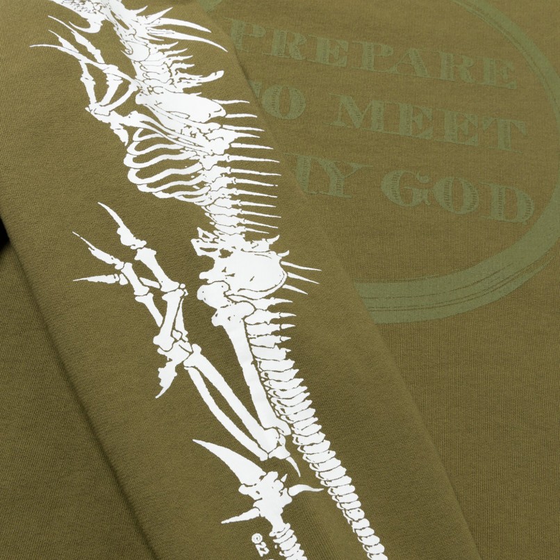 ARIES Dragon Skeletor