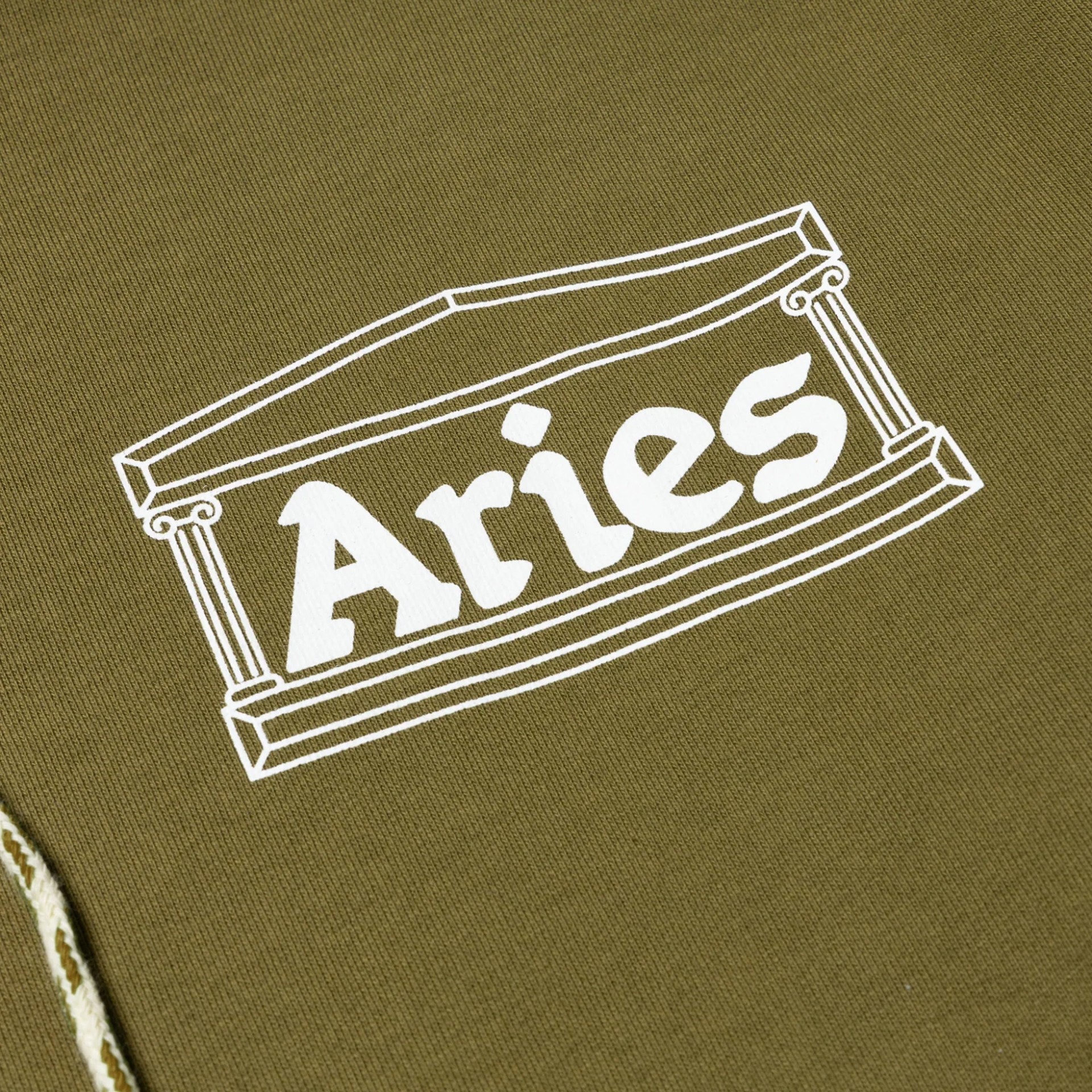 ARIES Dragon Skeletor