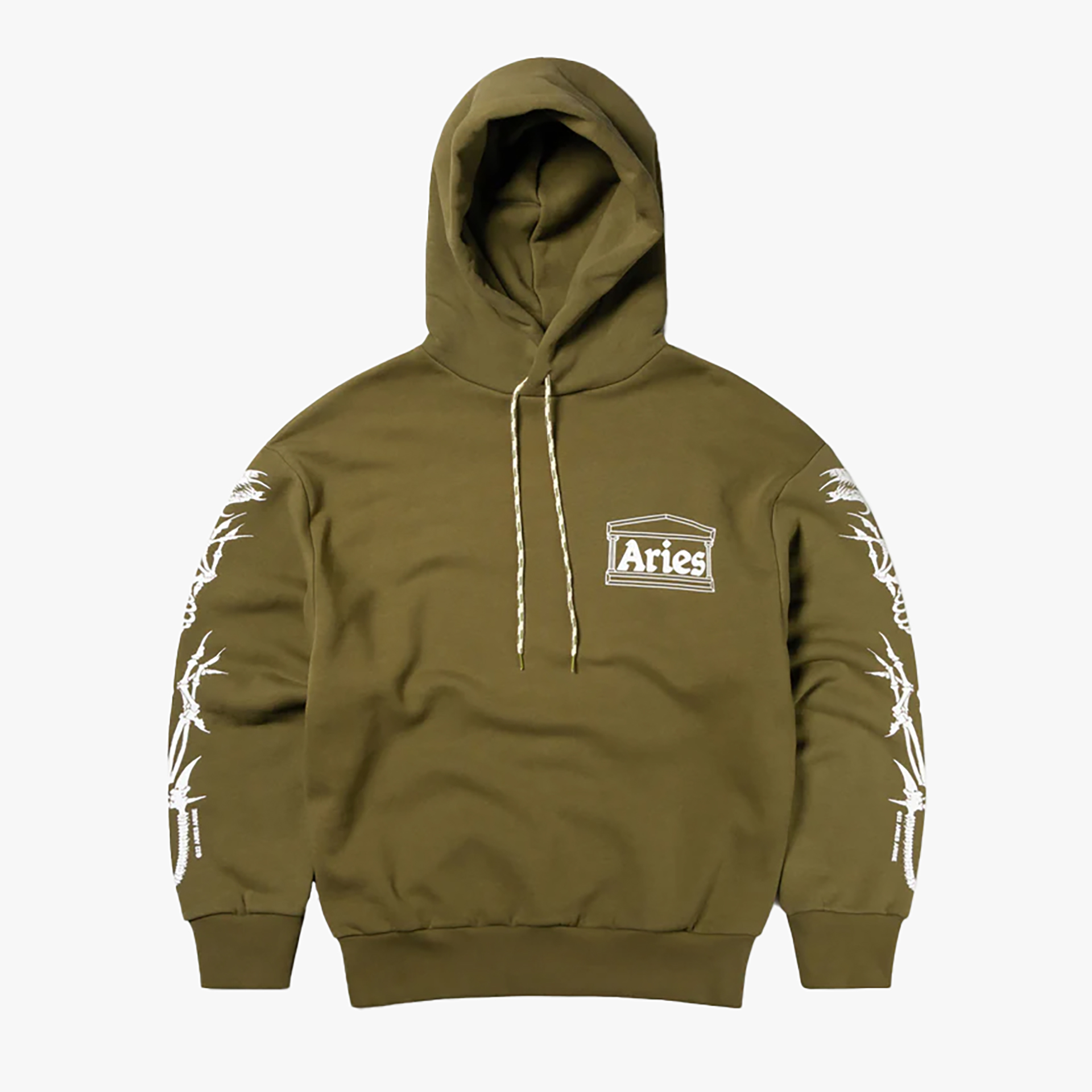 ARIES Dragon Skeletor