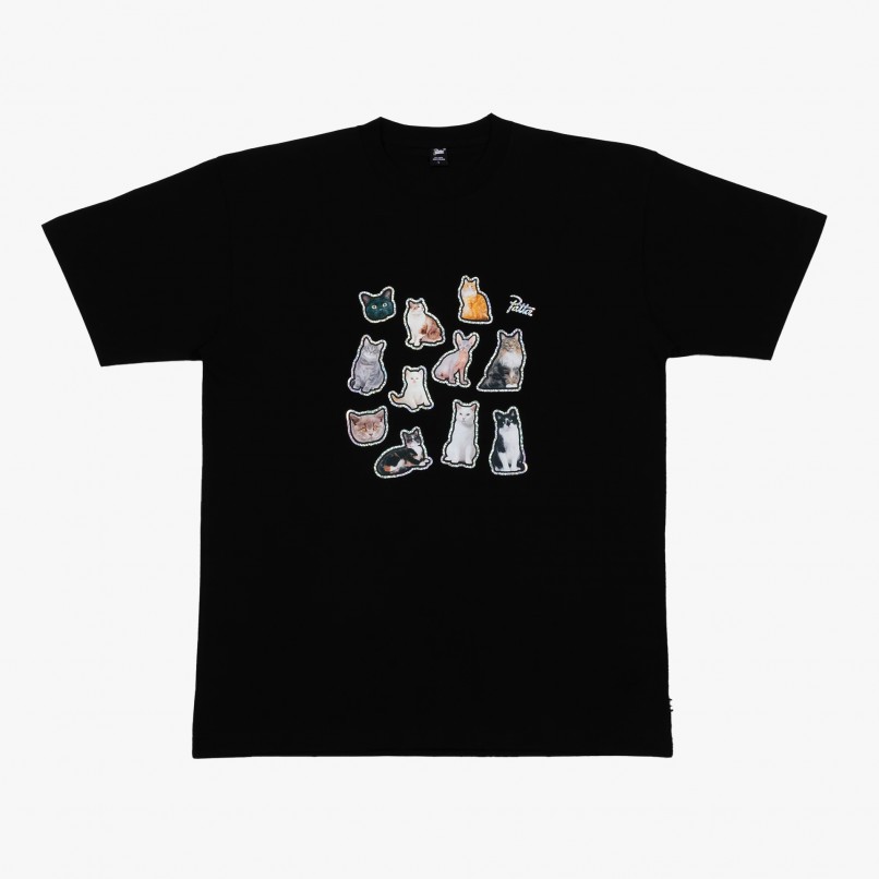 Patta Cats