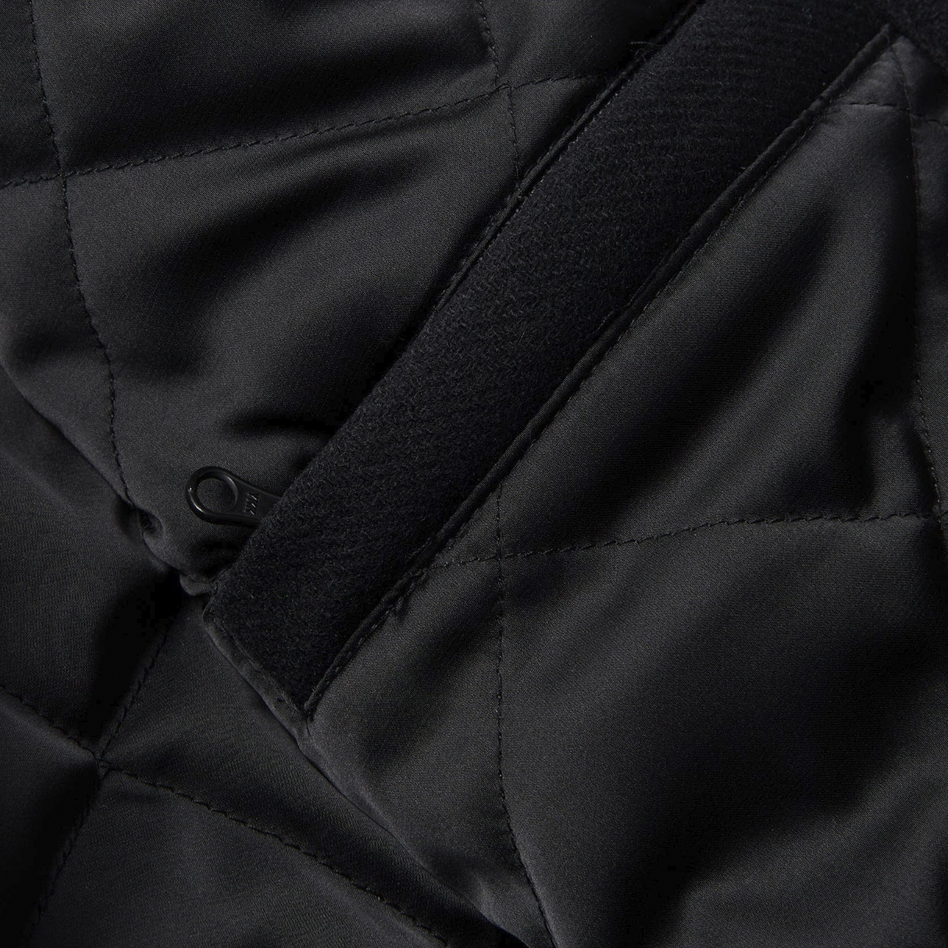 By Parra Dog faced varsity