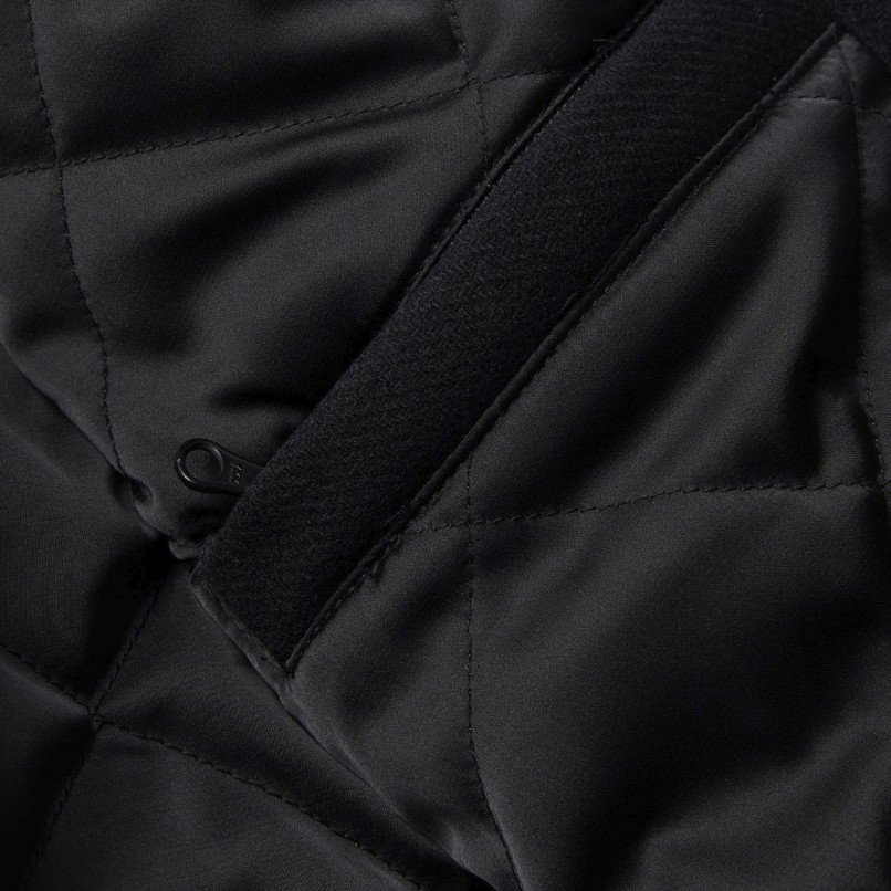 By Parra Dog faced varsity