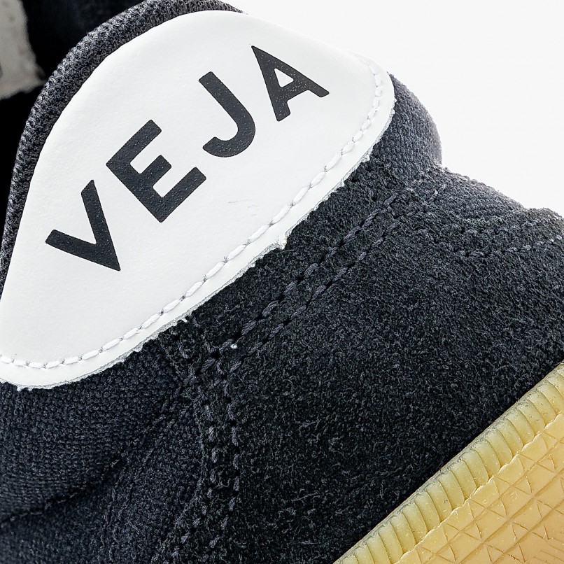 Veja Volley Canvas