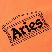 ARIES Temple LS