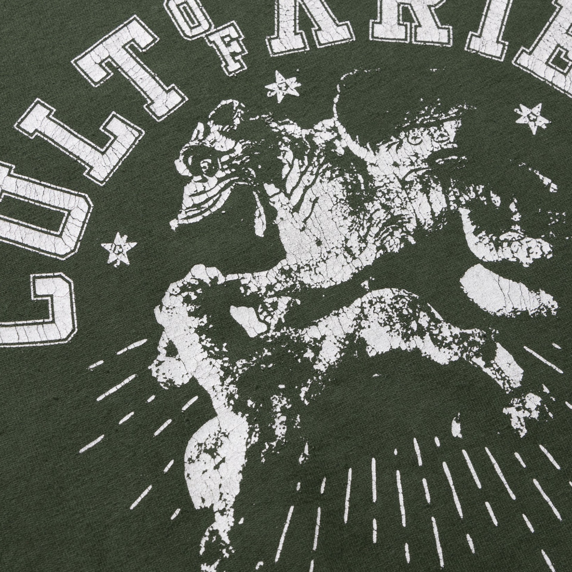 ARIES Cult of Varsity SS