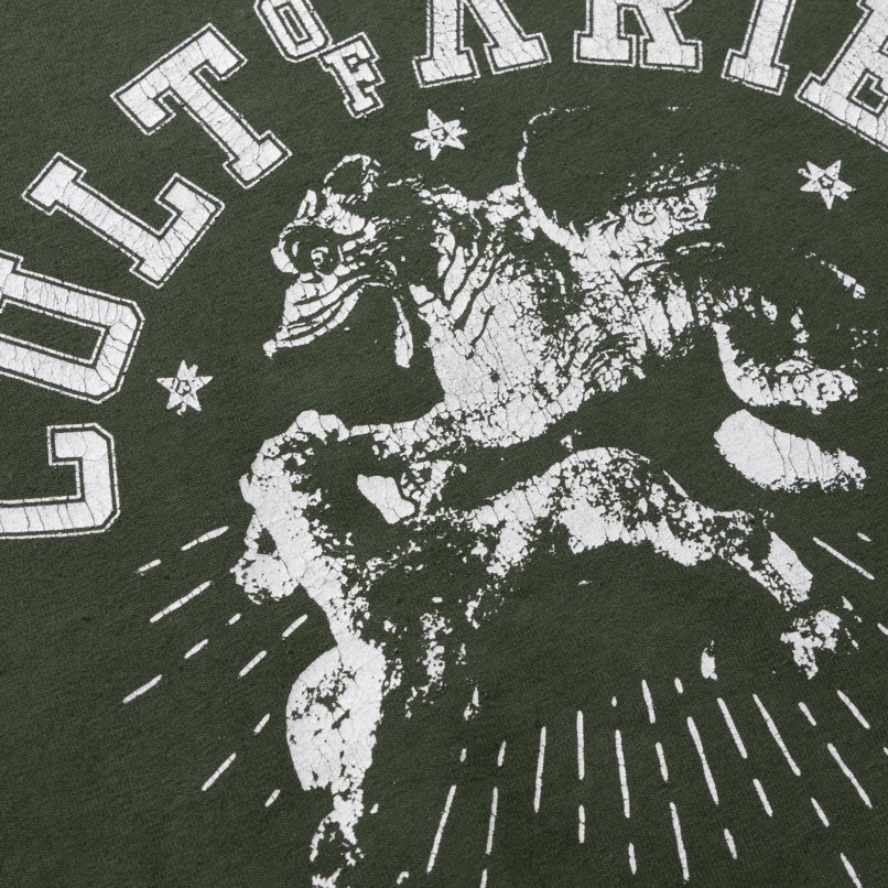 ARIES Cult of Varsity SS