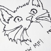 Patta Meow