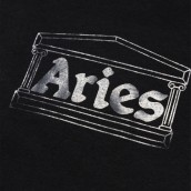 ARIES Temple