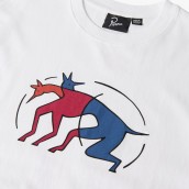 By Parra The Zoomies